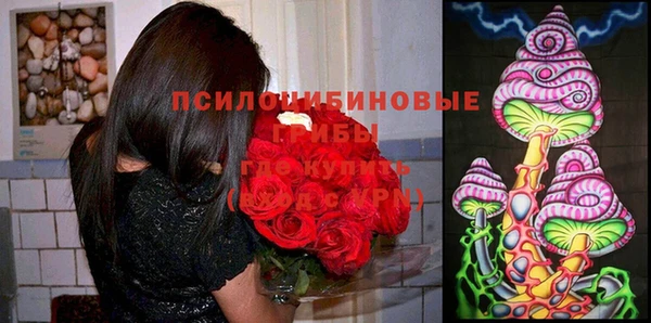 МДПВ Белокуриха