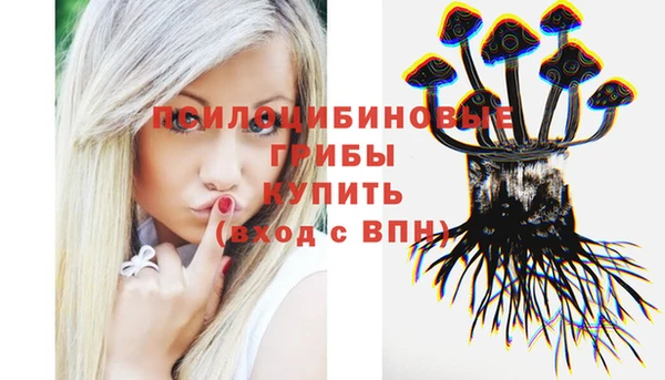 дживик Балабаново