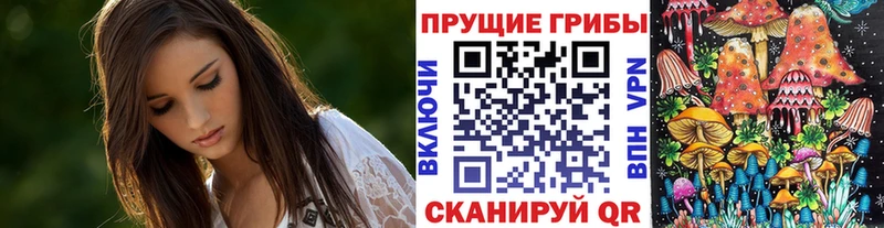 Галлюциногенные грибы Psilocybine cubensis  Мегион 