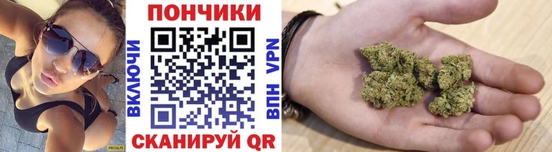 Бошки марихуана сатива  закладки  MEGA как войти  Мегион 